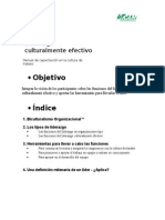 Manual Liderazgo