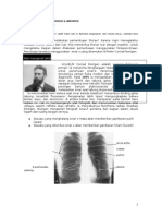 Radiologi Normal