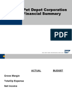 Pet Depot Financial Summary