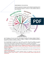 Seminario Biodiversidad y Ciclos de Vida