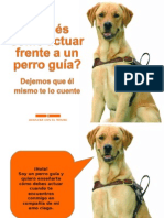 Perro Guia