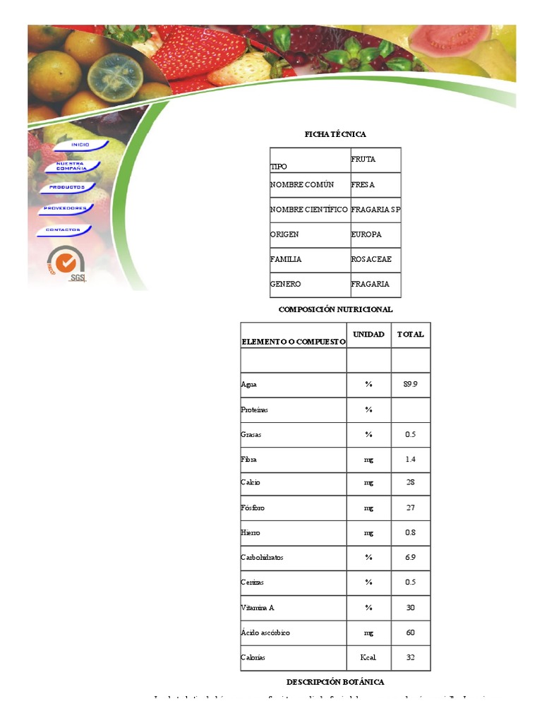 Ficha T cnica De La Fresa Y Pulpa PDF Ra z Nutrici n