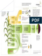 Infographic Plant Power