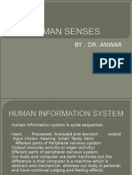 HUMAN SENSES