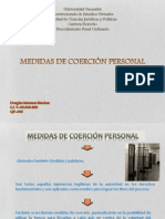 Douglas_Mesones_Medidas de coerción personal.pptx