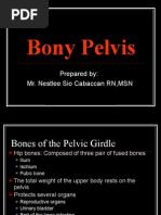 Download Bony Pelvis-2009-2010 by Nheil Restie DGreat SN23264238 doc pdf