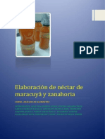 Elaboración de Néctar de Maracuyá y Zanahoria