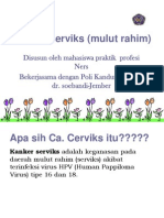 Kanker Serviks (Mulut Rahim)