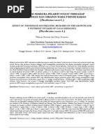 Download 05 Pengaruh Mikroba Pelarut Fosfat Terhadap Pertumbuhan Dan Serapan Hara p Benih Kakao Theobroma Cacao l by Unggul Bagas S SN232645376 doc pdf