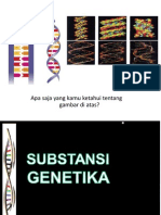 Gen, DNA & Kromosom