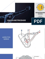 Vias Da Motricidade v3