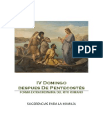 IV Domingo Post Pentecostés - Sugerencias para La Homilía