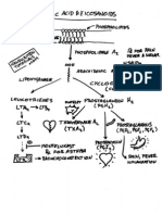 Arachidonic Acid and Eicosanoids