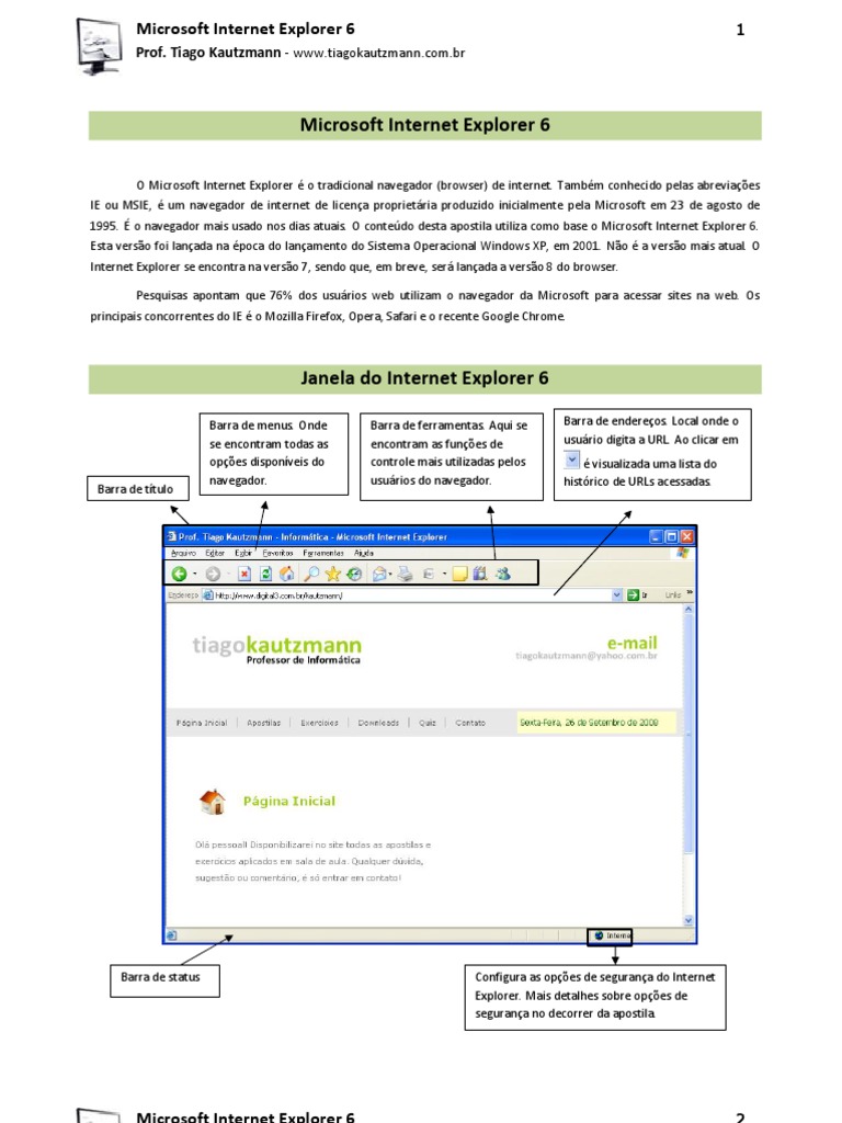 Guia Completo do Internet Explorer 6 | PDF | Internet Explorer | Cookie ...