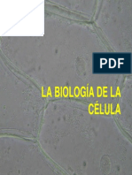 Biologia de La Célula