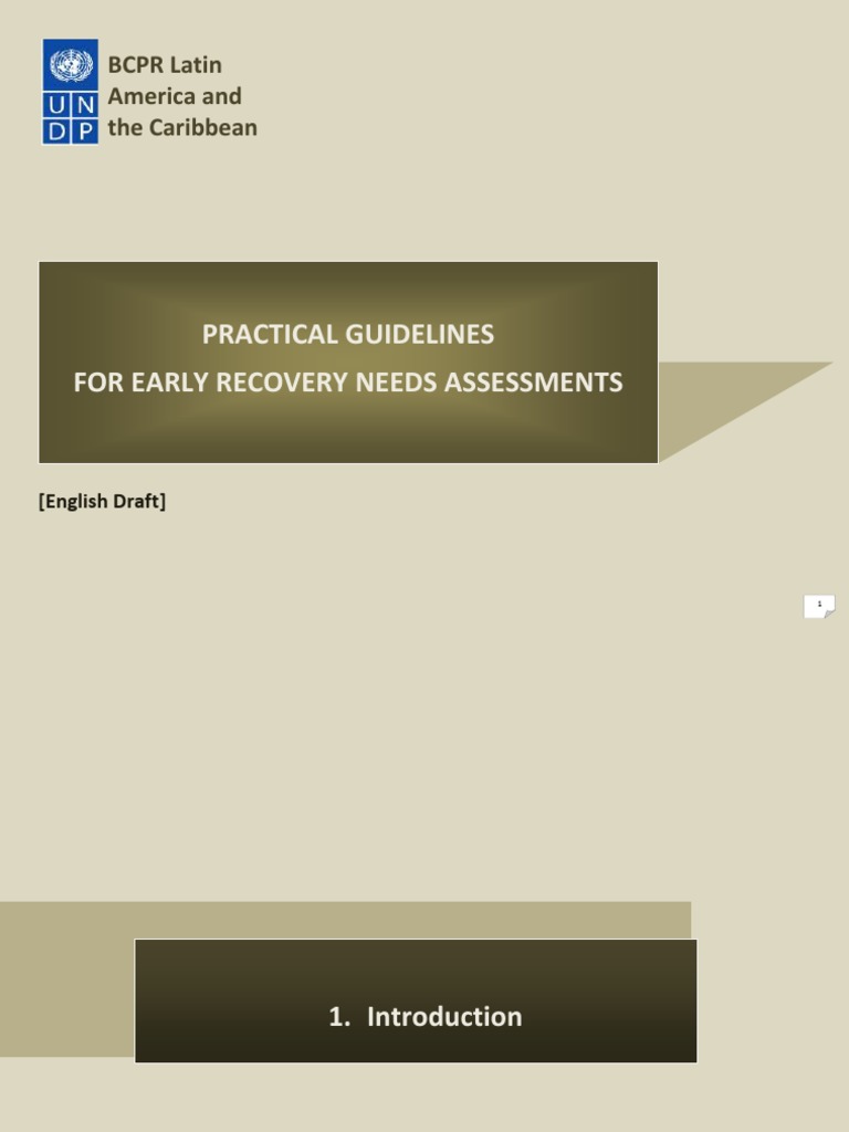 Guidelines For UNDP Early Recovery Needs Assessments (1st Draft in ...