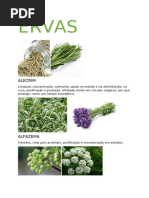ERVAS