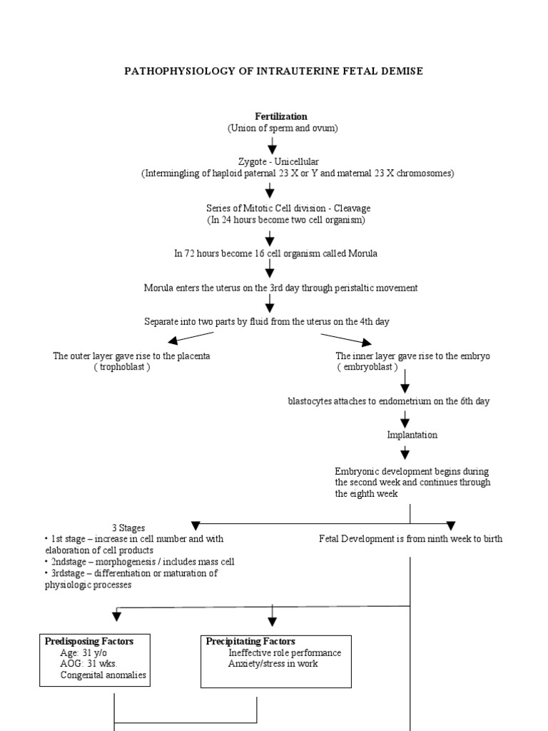 Ob ward case study picture