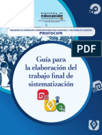 Guia Sistematizacion PDF