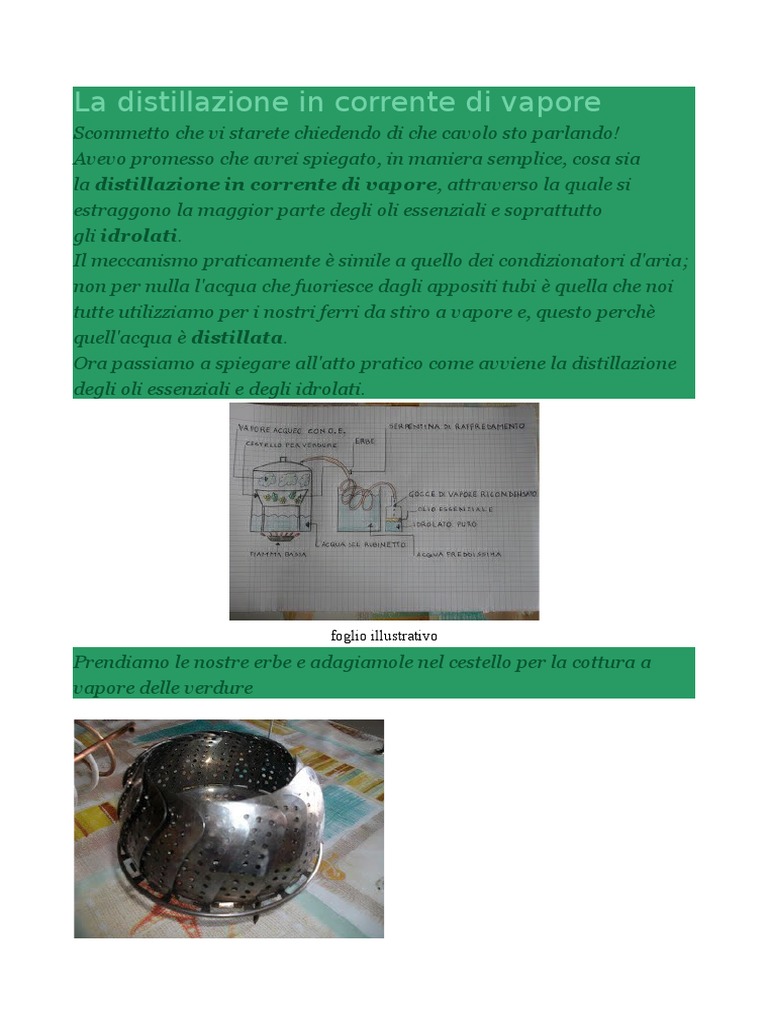 La Distillazione in Corrente Di Vapore