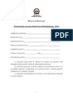 Pauta Evaluación Práctica Profesional 2013