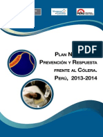 Plan Contra El Colera MINSA - PERU