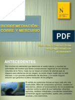 Biorremediacion UPN 2014
