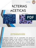 Bacterias Aceticas