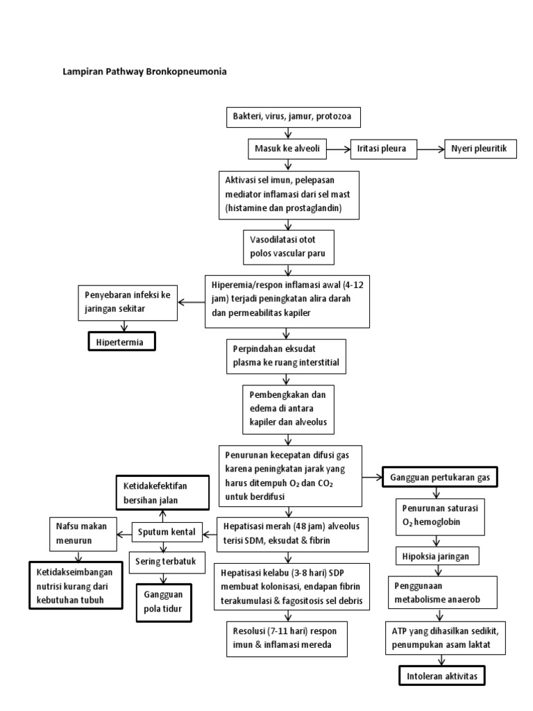 Pathway Bronkopneumonia pada Anak | PDF | Kesehata…