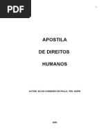 APOSTILA_DE_DIREITOS_HUMANOS[1].doc