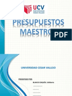 PPT PROYECTO