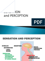 23531_sensation+and+perception+lec