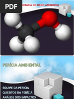 EXECUTANDO A PERÍCIA AMBIENTAL