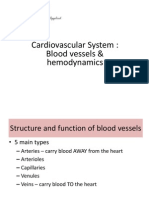 Blood Vesssel Upload