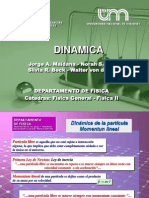 2dinamica 2011