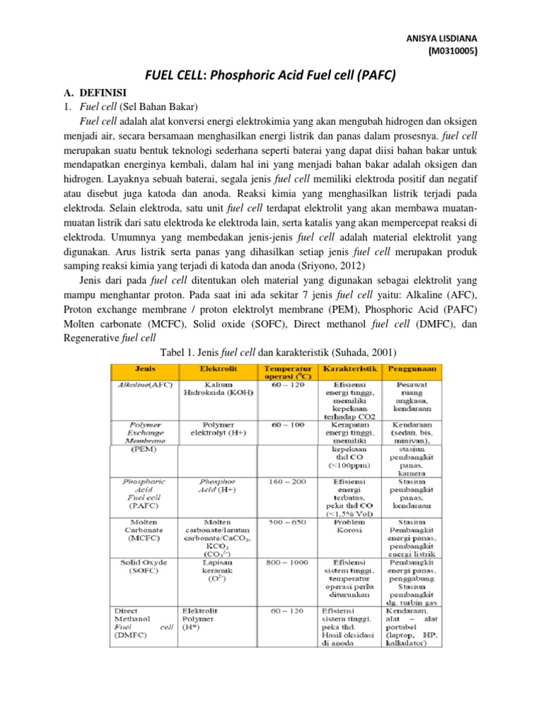 Phosphoric Acid Fuel Cell PDF
