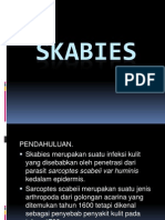 SK Abies