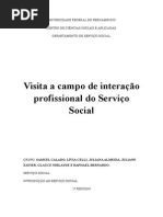 Contato Com o Assistente Social - Introdução Ao Serviço Social