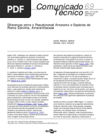 Diferencas Entre o Pseudocereal Amaranto e Especies de Planta Daninha, Amaranthaceae