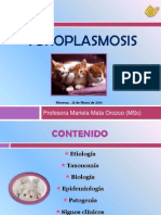 93066099 Toxoplasmosis