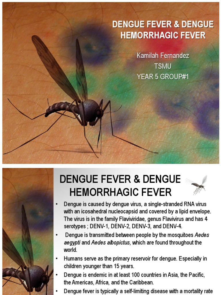 Dengue Fever & Dengue Hemorrhagic Fever Virus Shock (Circulatory)
