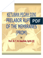 Rps138 Slide Ketuban Pecah Dini Prelabor Rupture of the Membranes