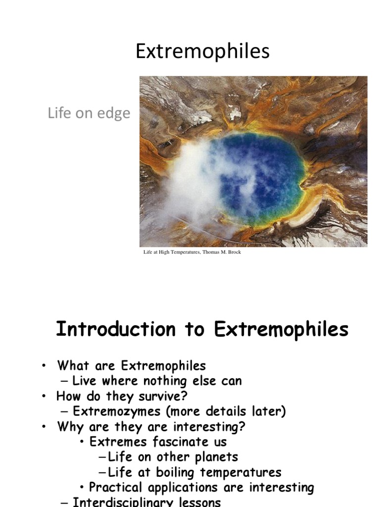 Extremophiles - RTB 11.3 | PDF | Osmosis | Enzyme