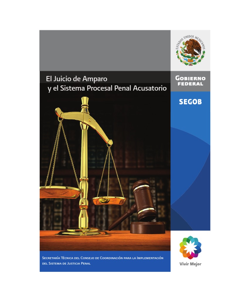 El Juicio de Amparo y El Sistema Procesal Penal Acusatorio | PDF ...