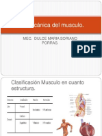 Biomecánica Del Musculo