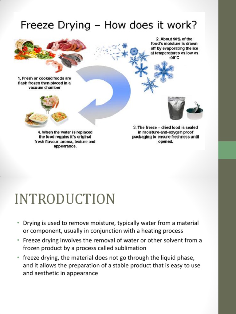 Slide Freeze Drying | PDF | Freeze Drying | Continuum Mechanics