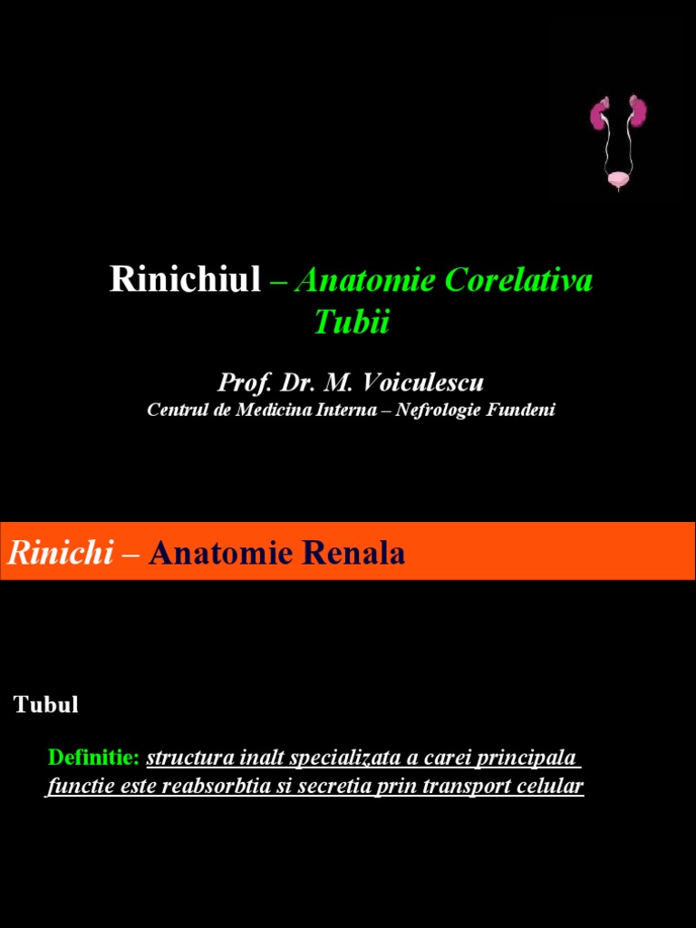 Rinichi: Anatomie și Funcții Tubulare | PDF | Biology | Kidney