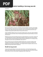 Download Panduan Praktis Budidaya Bawang Merah by Wawanwkw SN232845324 doc pdf