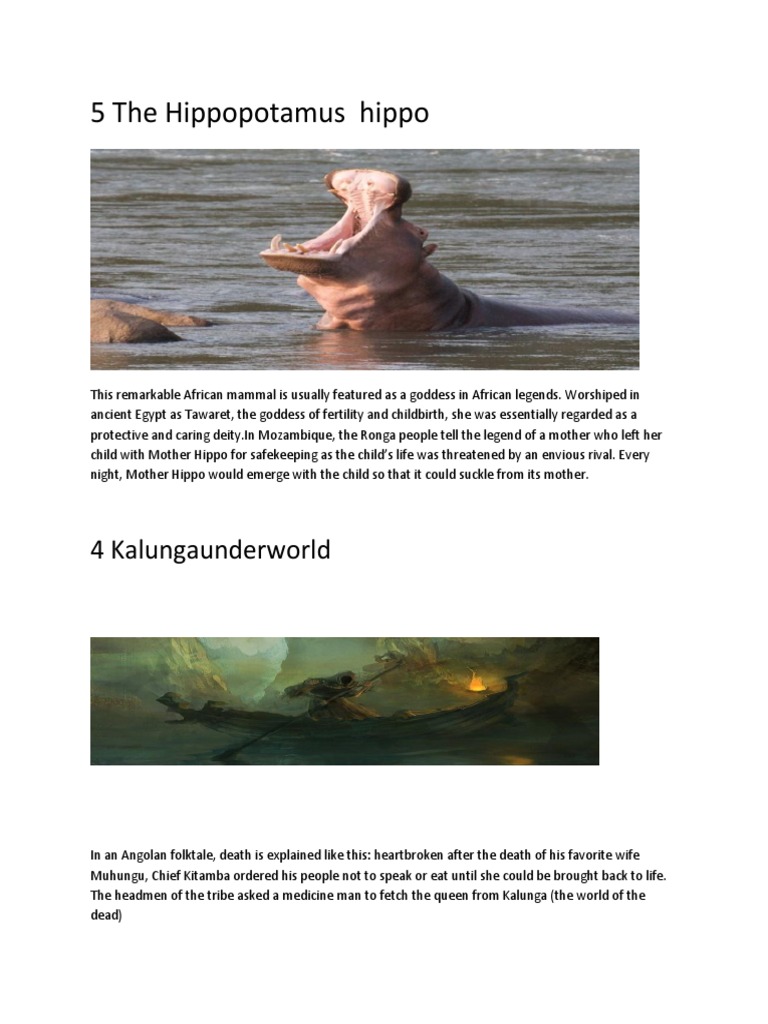 5 The Hippopotamus Hippo | PDF | Queen Of Sheba