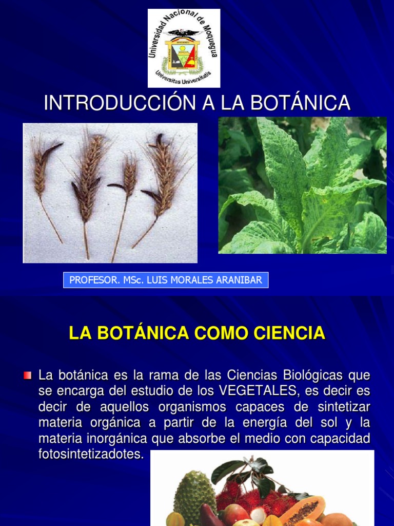 Introducción a La Botánica Botánica Taxonomía (biología)